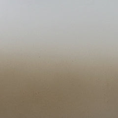 Tarro de acario