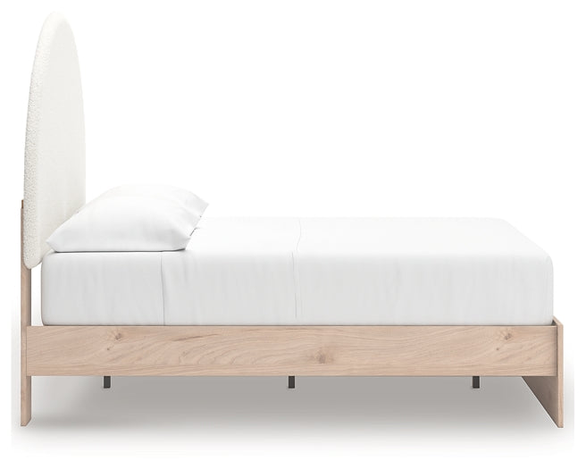 Arloster Upholstered Panel Bed