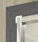 Lodanna  Panel Bed With 2 Storage Drawers With Mirrored Dresser, Chest And Nightstand
