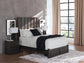 Fraluna  Panel Storage Bed, Dresser And Mirror