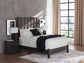 Fraluna  Panel Bed, Dresser And Mirror
