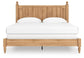 Aleaport  Panel Bed With Mirrored Dresser